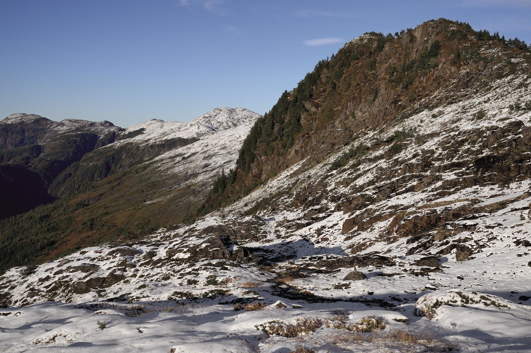 SNOWY EXPANSE